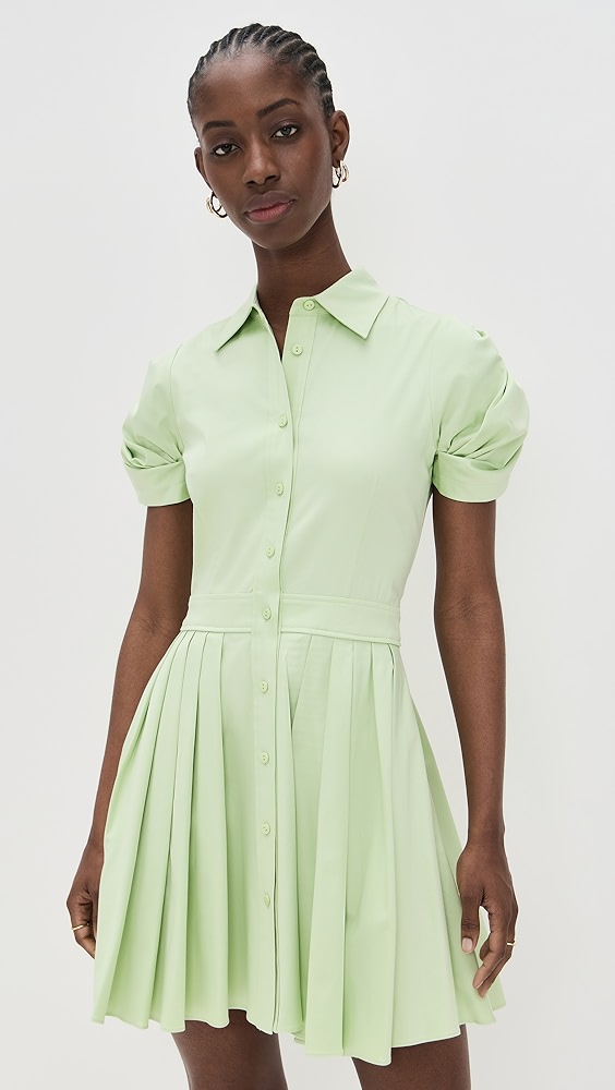 ALEXIS April Dress