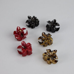 Bloom On Repeat Mini Claw Clip Set