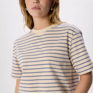 Blue Stripe Relaxed Cotton T-shirt