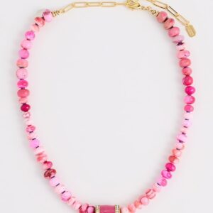 Elizabeth Cole Chroma Necklace