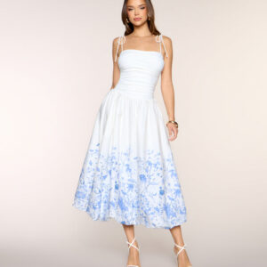 Windsor Clarie Floral Poplin A-Line Formal Dress
