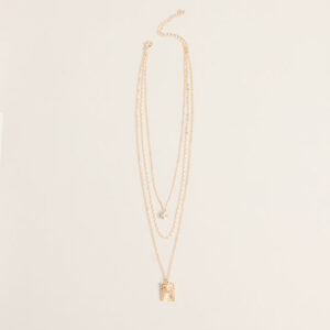 Windsor Collected Charm Layered Necklace