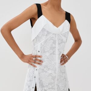 Corded Lace Organza Mini Dress