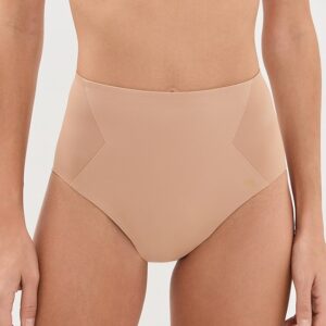 Honeylove Crossover Briefs