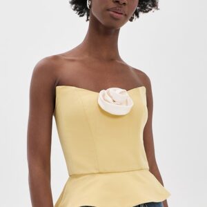 Damaris Bailey Delicias Strapless Top