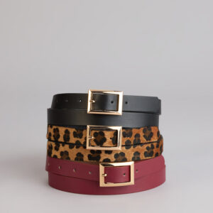 Windsor Fierce Energy Belt Set Fierce Energy Belt Set