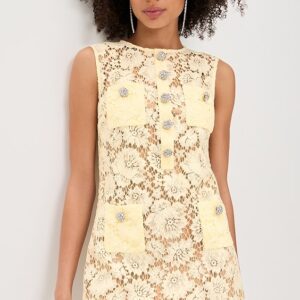Self Portrait Fine Lace Mini Dress