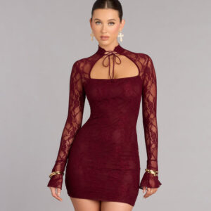 Windsor Got The Romance Lace Bodycon Mini Dress Got The Romance Lace Bodycon Mini Dress