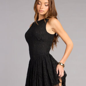 Windsor Just Add Heels Lace Skater Mini Dress Just Add Heels Lace Skater Mini Dress