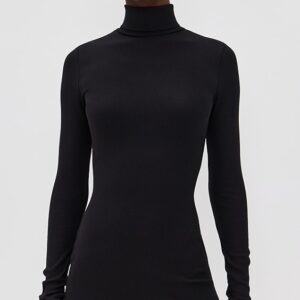 Long Sleeve Turtleneck Mini Dress