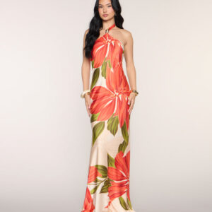 Windsor Maryanne Floral A-Line Formal Dress Maryanne Floral A-Line Formal Dress