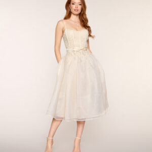 Windsor McKenzie Corset A-Line Midi Formal Dress McKenzie Corset A-Line Midi Formal Dress