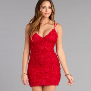 Windsor Melina Lace-Up Floral Mini Dress