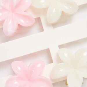 Multi 4 Pack Flower Claw Clips