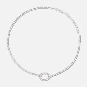 Orbit Link Necklace