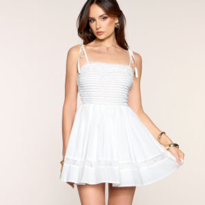 Windsor Picnic Date Lace Cotton Skater Dress Picnic Date Lace Cotton Skater Dress