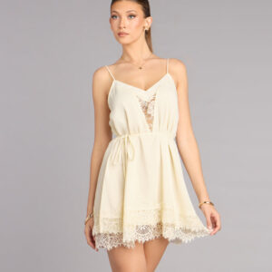 Pretty Plans Chiffon And Lace Skater Dress