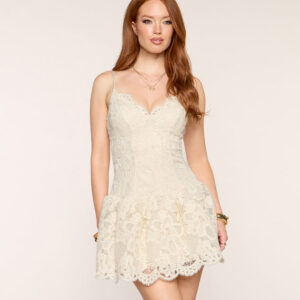 Windsor Priscilla Crochet Lace Skater Mini Dress Priscilla Crochet Lace Skater Mini Dress