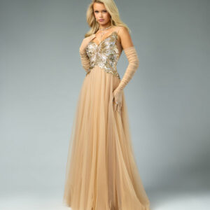 Rona Sequin Applique Butterfly A-Line Ball Gown