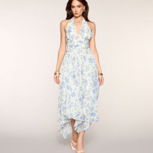 Windsor RSVP Pretty Floral Chiffon Maxi Dress RSVP Pretty Floral Chiffon Maxi Dress