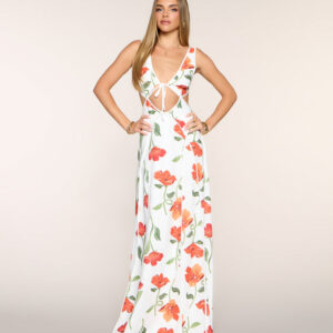 Windsor Rylan Floral Linen Cutout A-Line Dress Rylan Floral Linen Cutout A-Line Dress