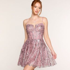 Sabrina Glitter Mesh Corset A Line Mini Dress
