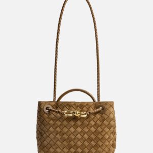 Bottega Veneta Small Andiamo Small Andiamo