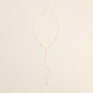 Windsor So Charmed Lariat Necklace