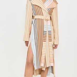 The Trench Shirt Dress