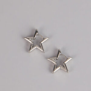 Windsor Wish Granted Star Earrings